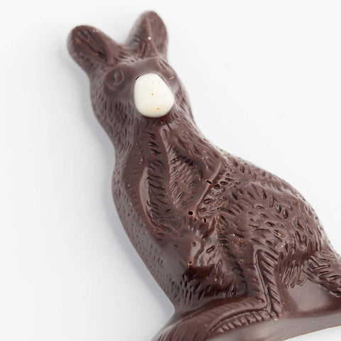 Chocolate Kangaroo Pop